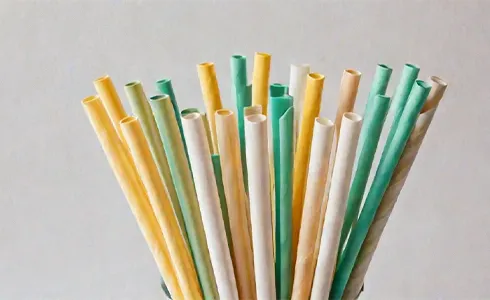 Eco-Friendly Straws